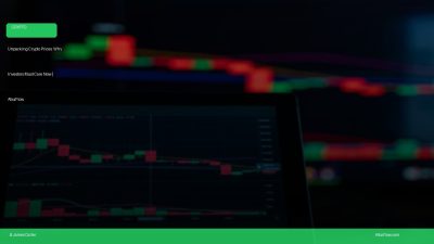 Unpacking Crypto Prices: Why Investors Must Care Now | AlkaFlow