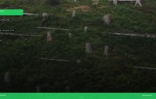 Two Years of Satgas PKH: Reclaiming Indonesia’s Forest Sovereignty