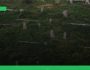 Two Years of Satgas PKH: Reclaiming Indonesia's Forest Sovereignty